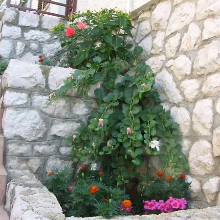 Appartement Luka Drage